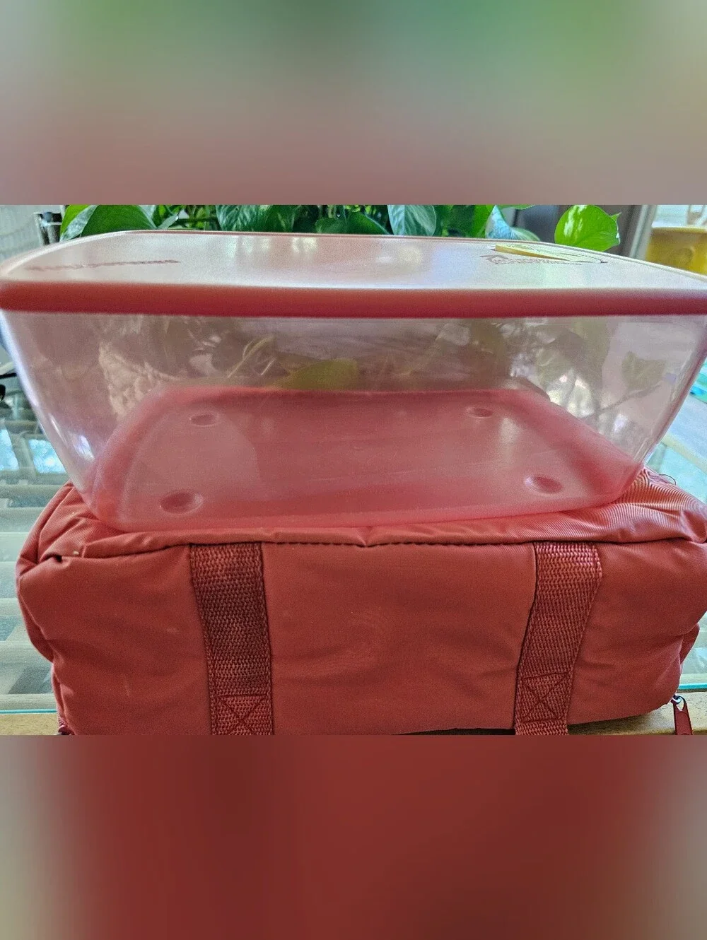 Tupperware listing vintage